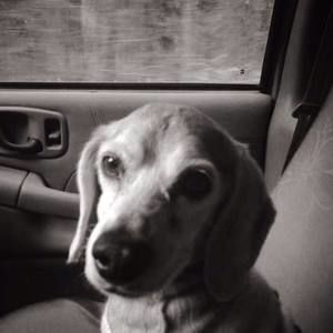 Meet your Posher, Kathy